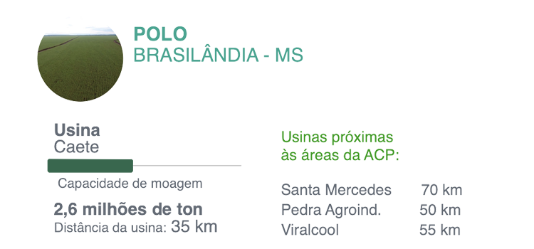 Imagem de Polo Ribeirão Preto - SP