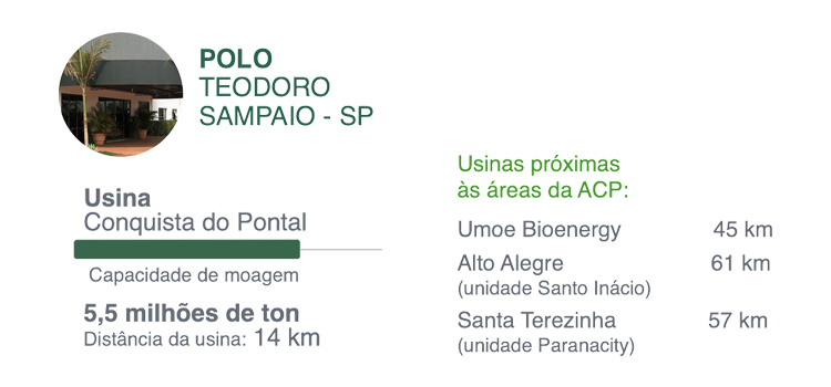 Imagem de Polo Teodoro Sampaio - SP